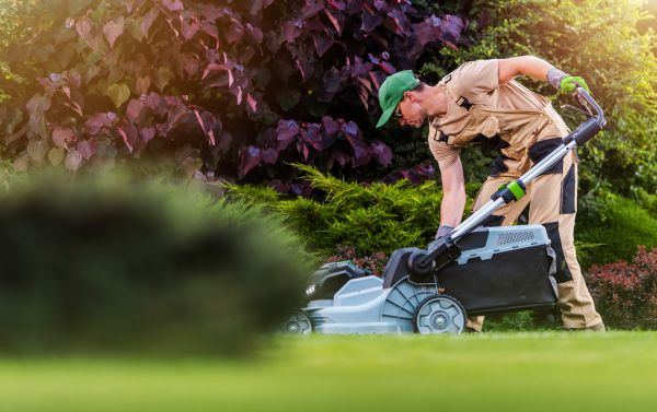 Lawn Care And Maintenance in Sandy