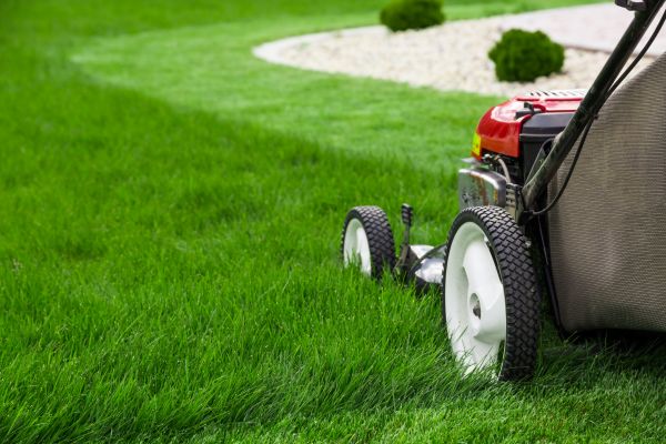 Mowing Service in Sandy