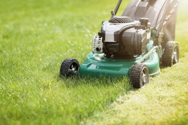 Yard Cutting in Sandy
