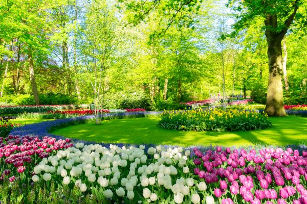 Spring Lawn Care in Sandy