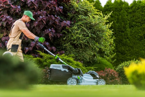 Lawn Management in Sandy