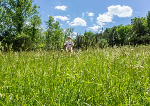 Long Grass Mowing in Sandy