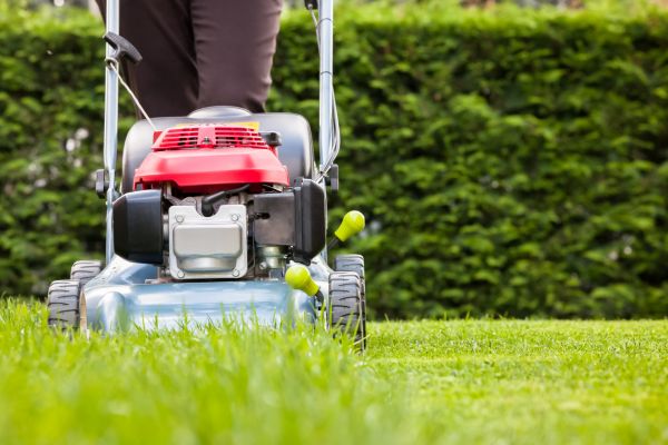 Grass Trimming Service in Sandy