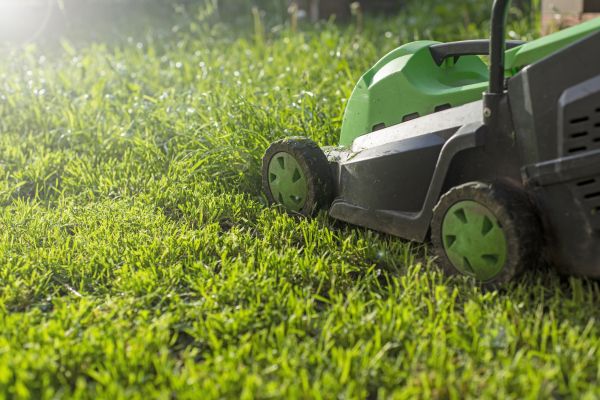 Lot Mowing in Sandy