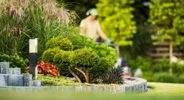 Residential Yard Maintenance in Sandy