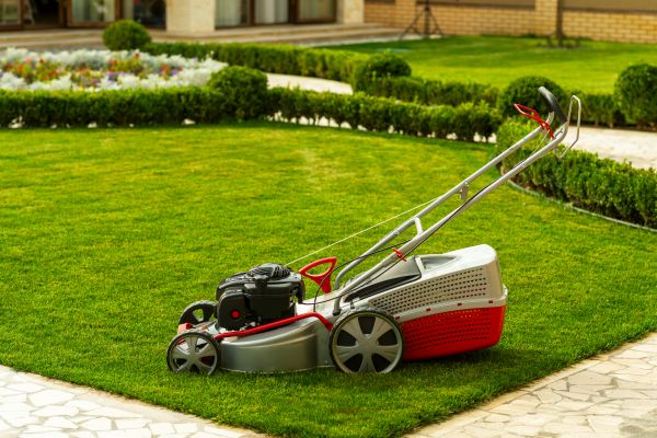 Business Grass Cutting in Sandy