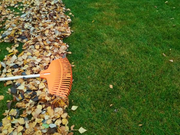Fall Lawn Care in Sandy