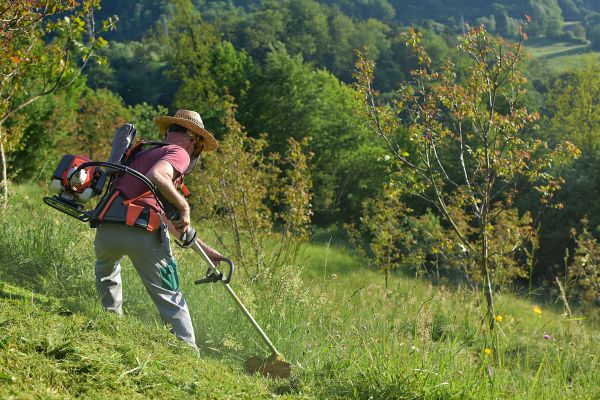 Slope Mowing in Sandy