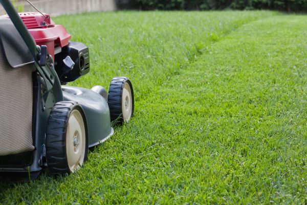 Spring Lawn Maintenance in Sandy