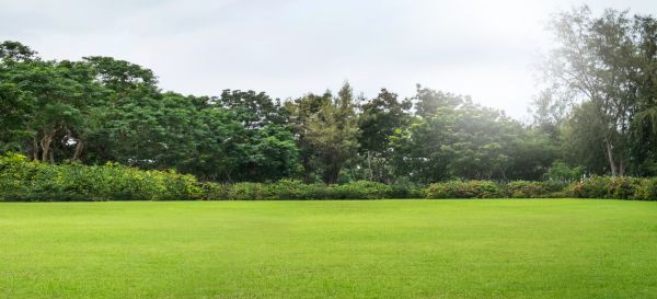 Golf Course Mowing in Sandy