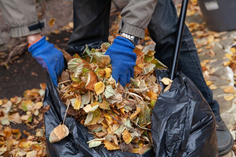 Leaf Mulching and Removal