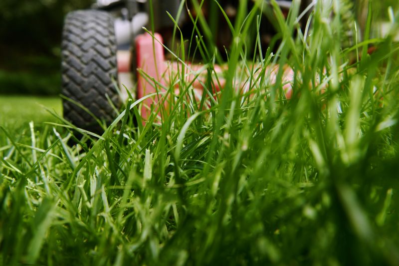 Grass Mowing detail