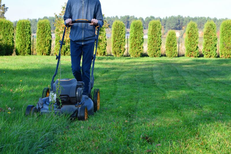 Lawn Cutting Service detail