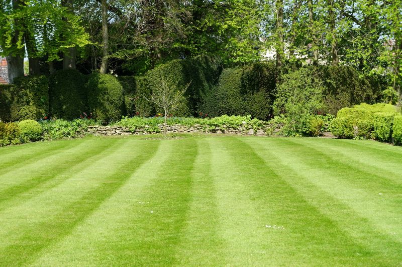 Lawn After Mowing
